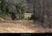 20130302_gorgesligne_labeaume_ssptedusavel_pres1