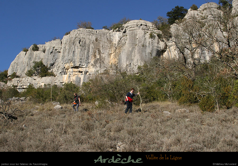 20090315_faussimagne_pentesvalleeligne3