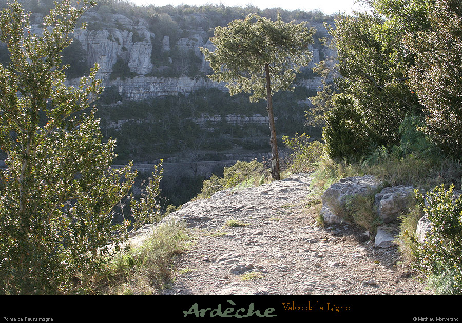 20090315_ptedefaussimagne1