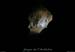 20081123_5fenetres_ouverture2_5