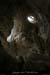 20081123_5fenetres_ouverture4_6