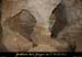 20081219_5fenetres_couloir2