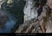 20081219_5fenetresniv2wvire_1