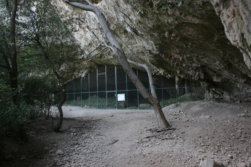 20091217_05