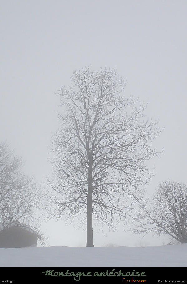 20170129_25