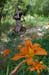 20190624_020