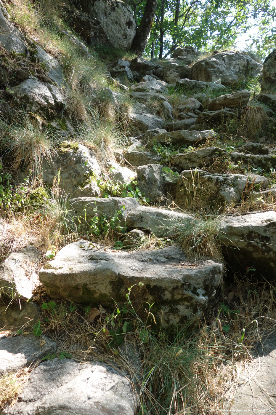 20200721_054