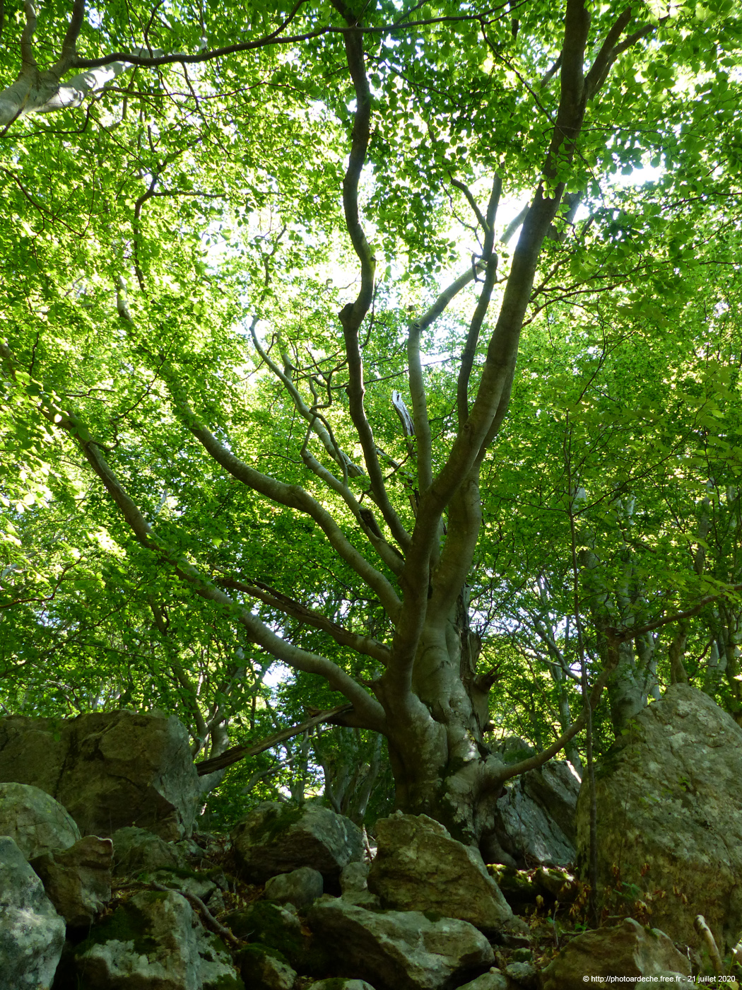 20200721_320