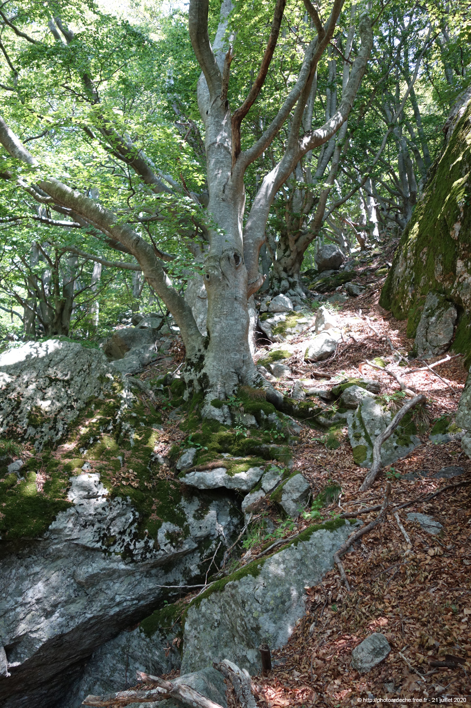 20200721_338