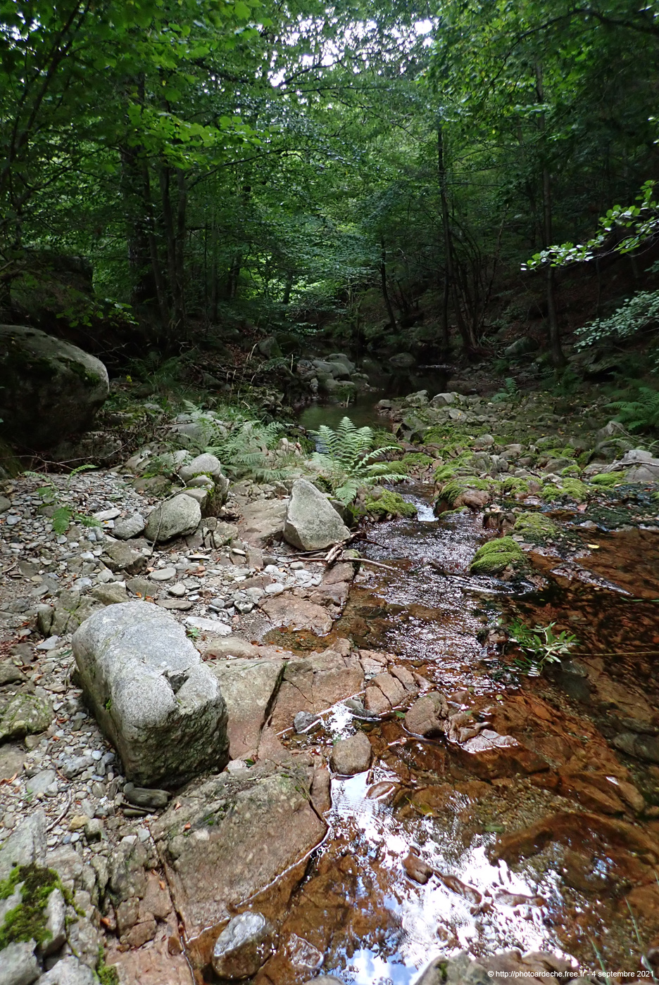 20210904_064