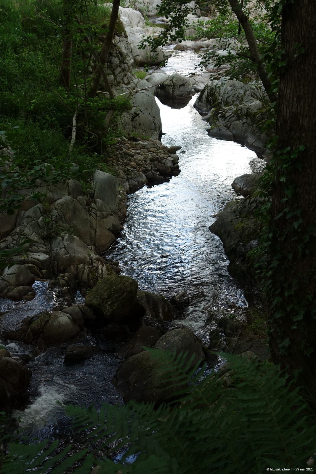 20230529_003