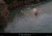 20141111_branchesparam4