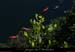 20160517_018