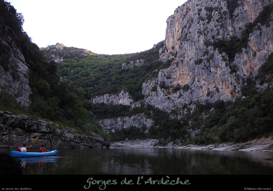 20090813_abeilleresam