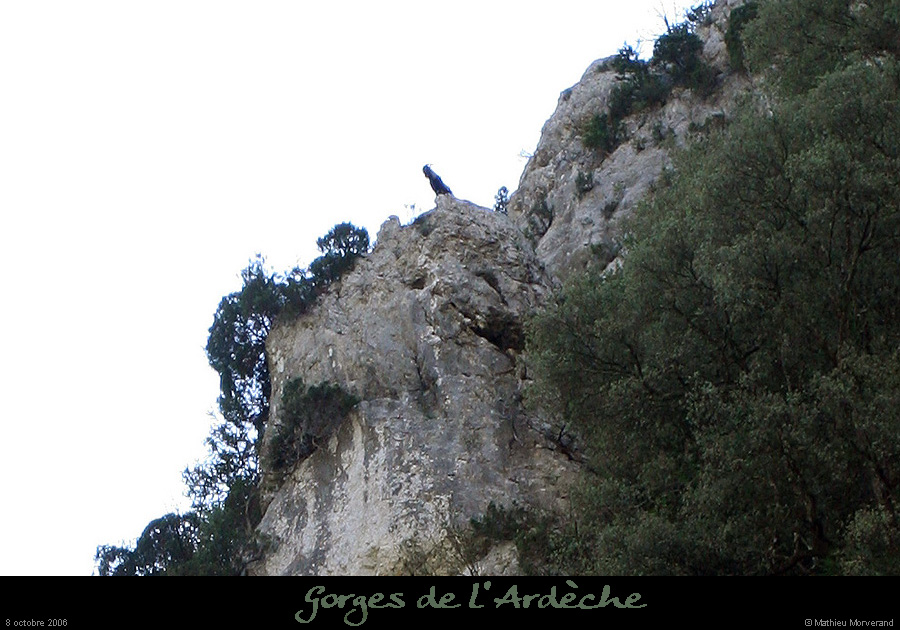 20061008_018