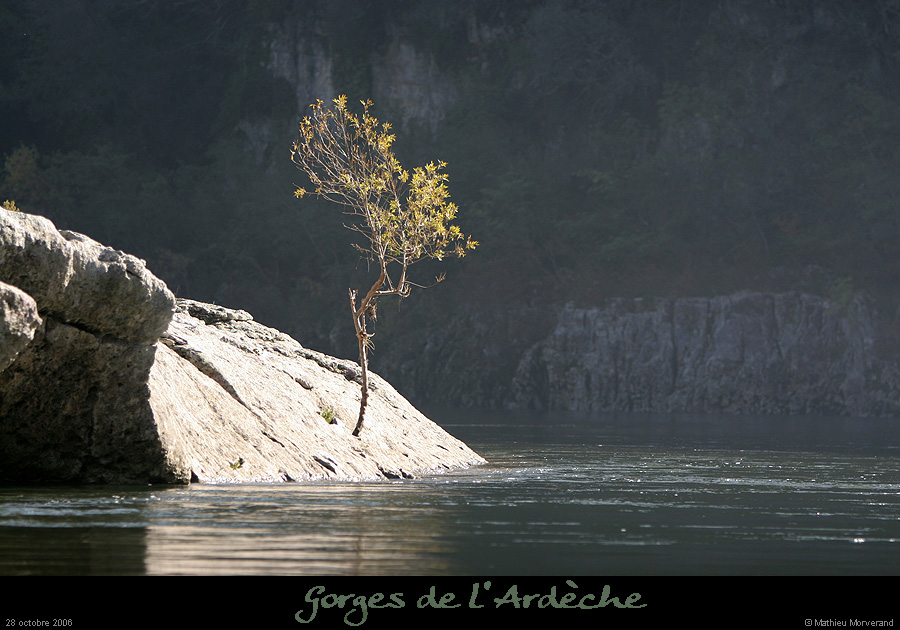 20061028_07