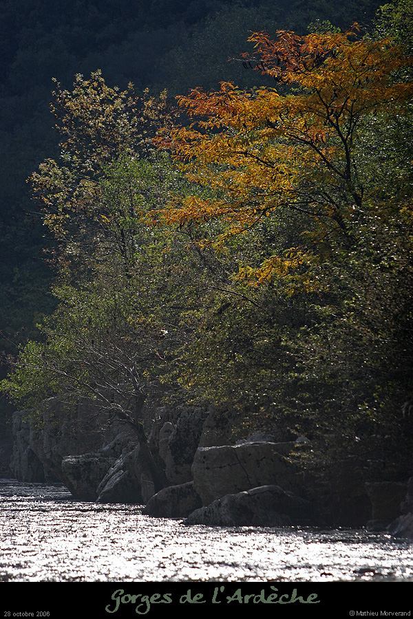 20061028_12