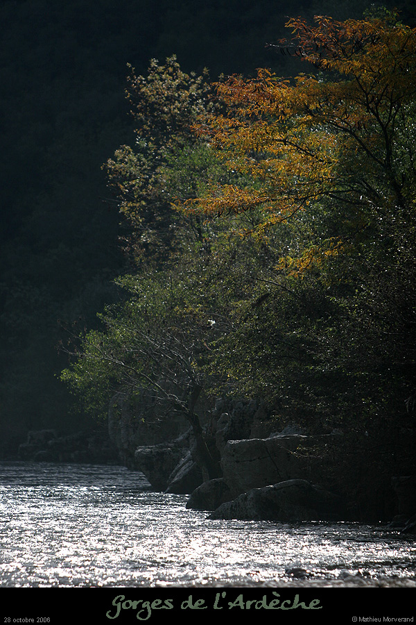 20061028_13