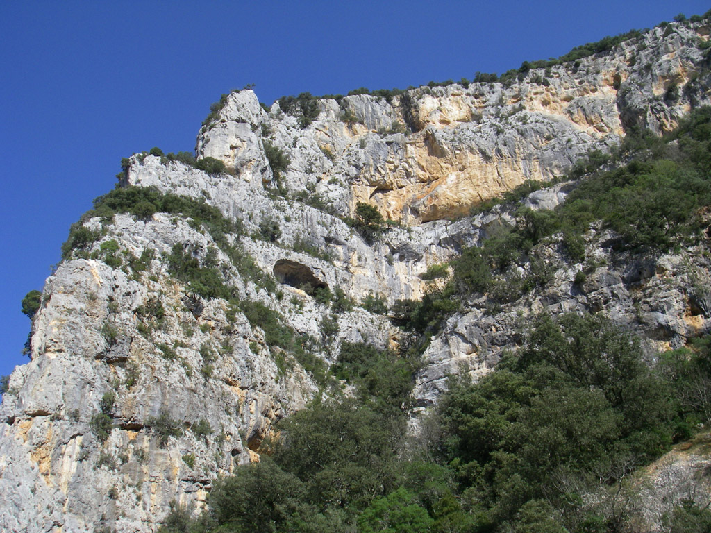 20080318_005
