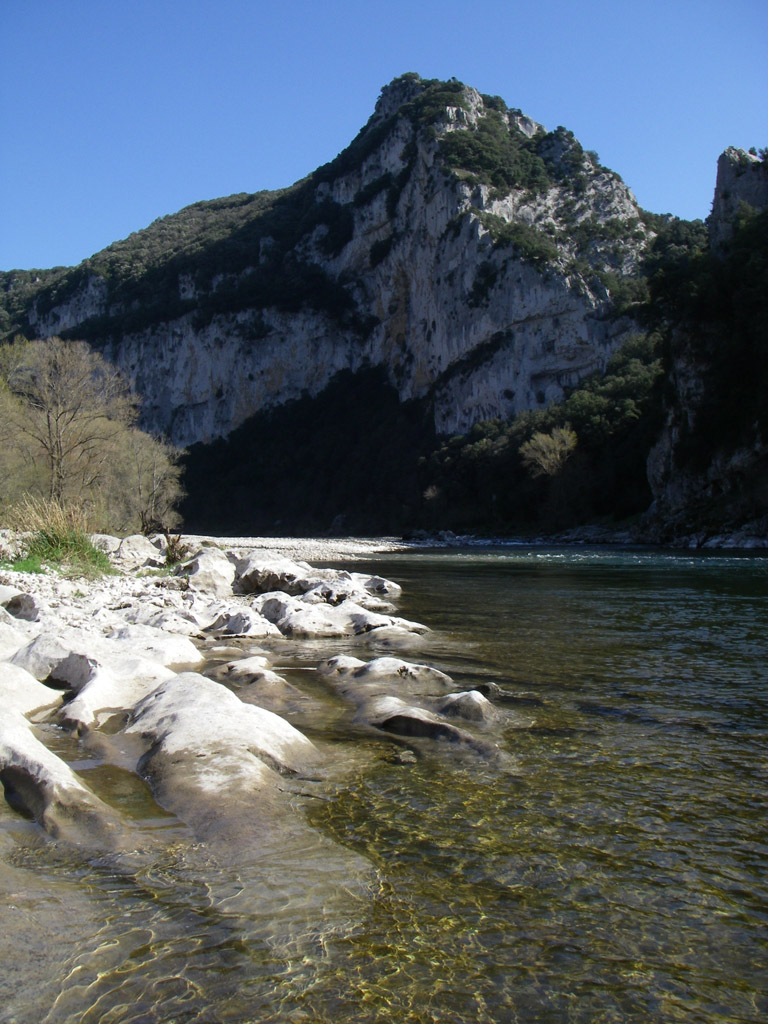 20080318_018