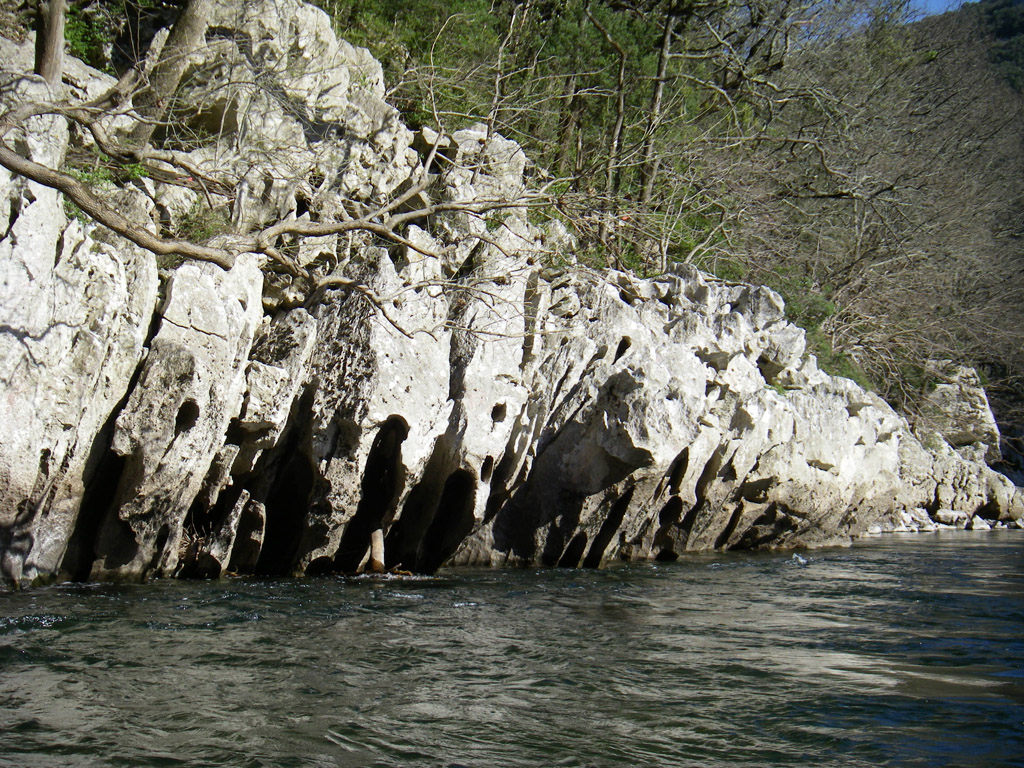 20080318_028