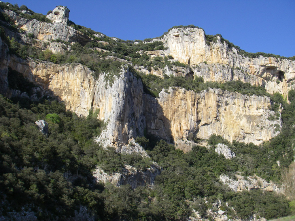 20080318_049