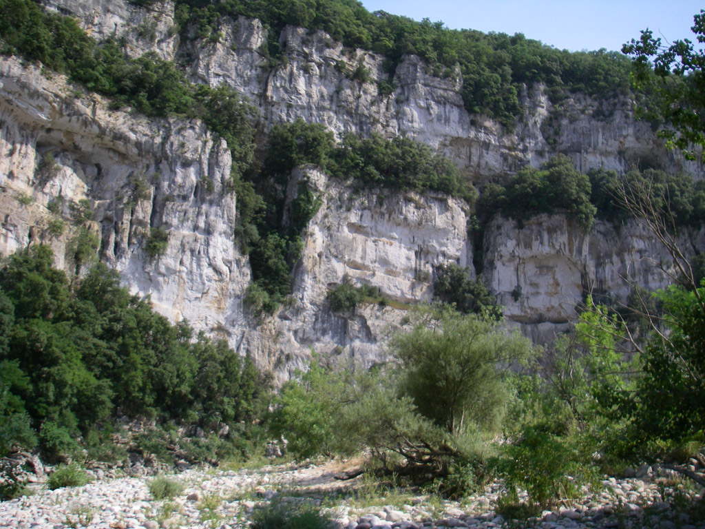 20080701_279