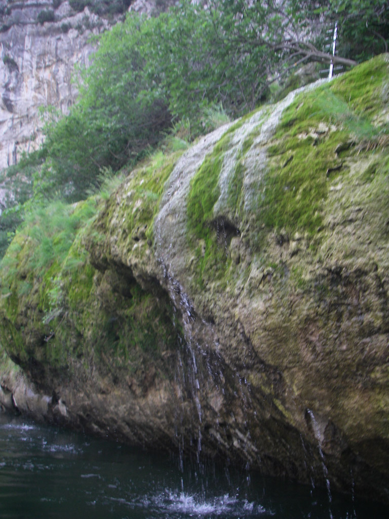 20080701_311