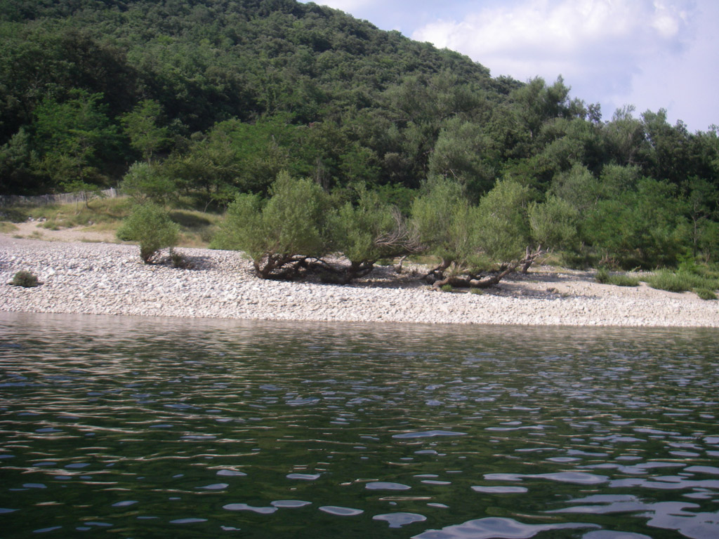 20080701_350