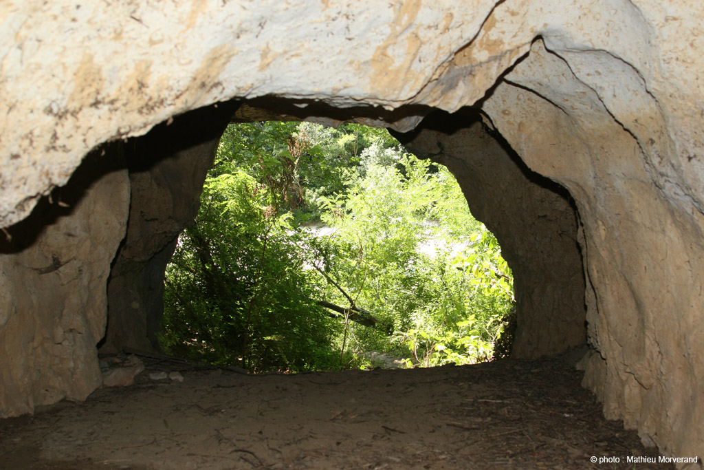 20090709_38