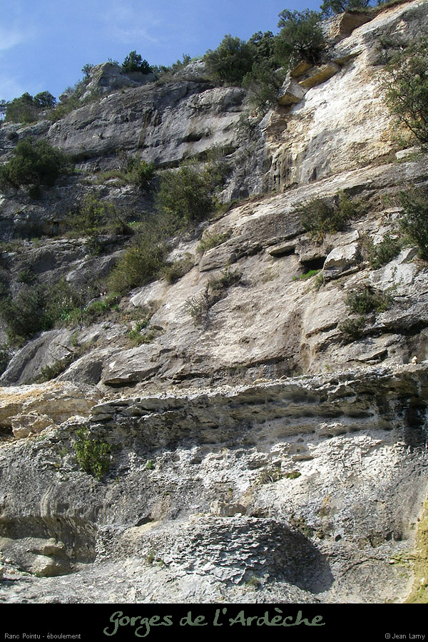 20100411_095jl