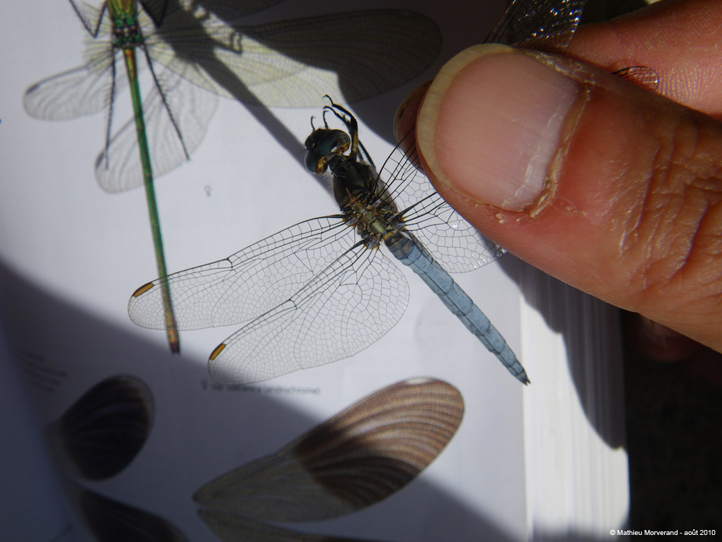 20100812_024