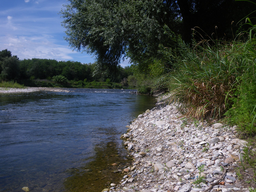 20100812_029