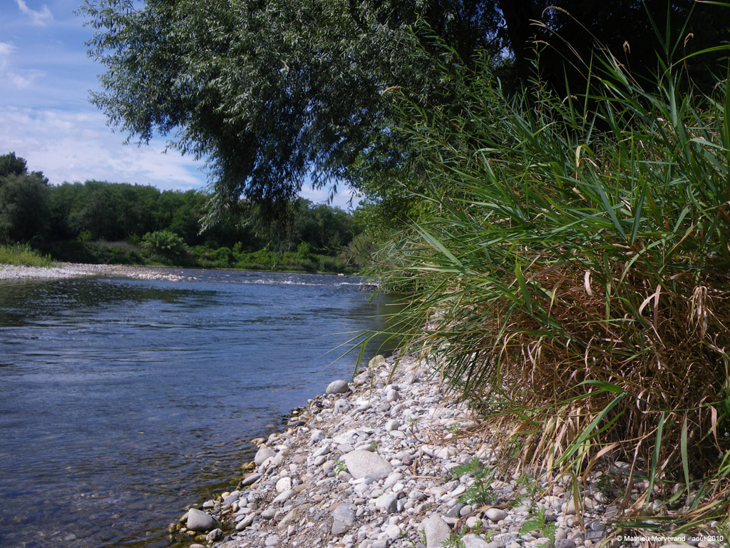 20100812_033