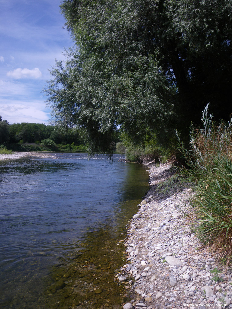 20100812_037