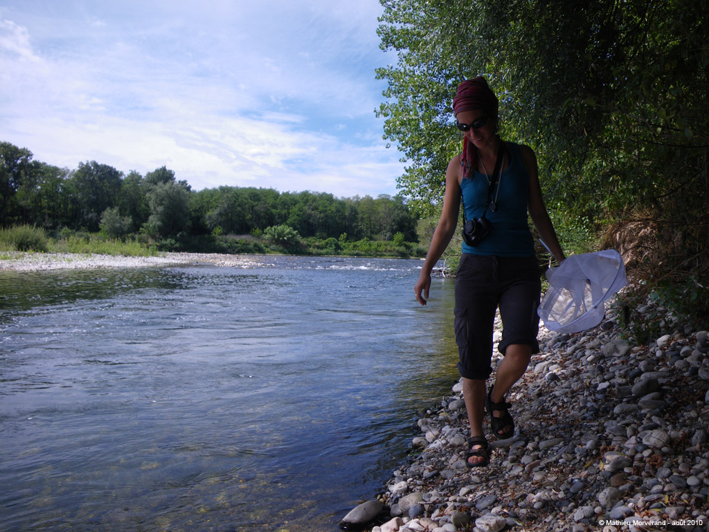 20100812_038