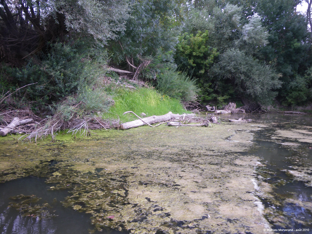20100812_091