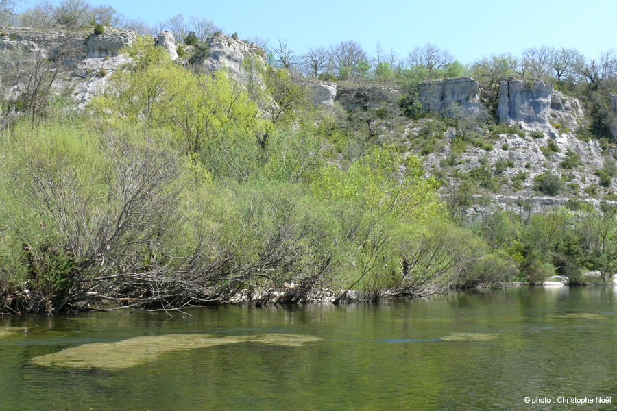 20130418_019