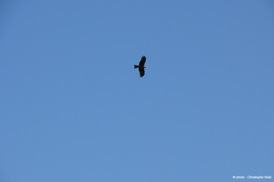 20130418_115