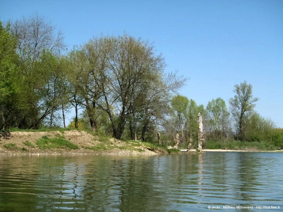 20130418_135