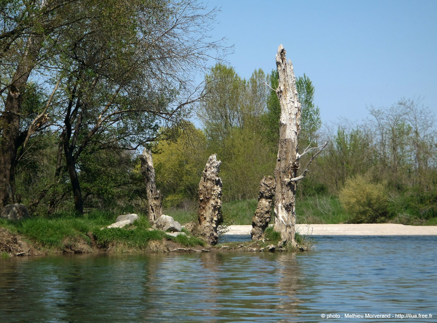 20130418_136