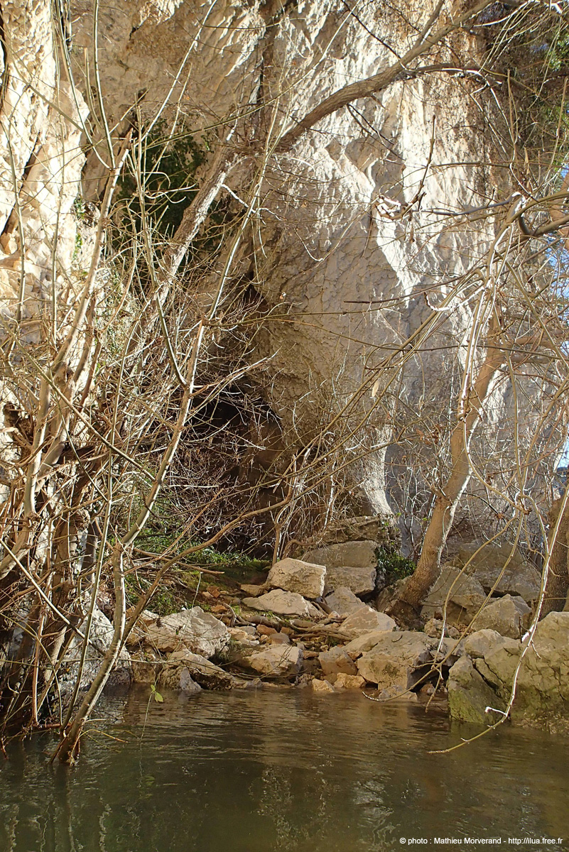 20131229_258