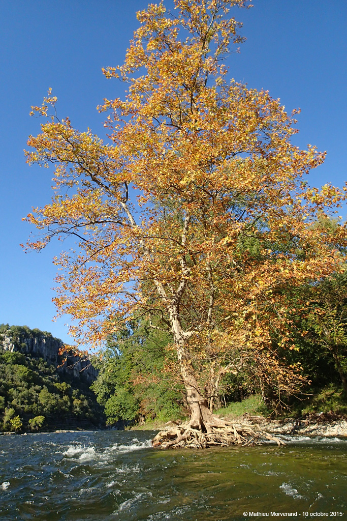 20151010_132
