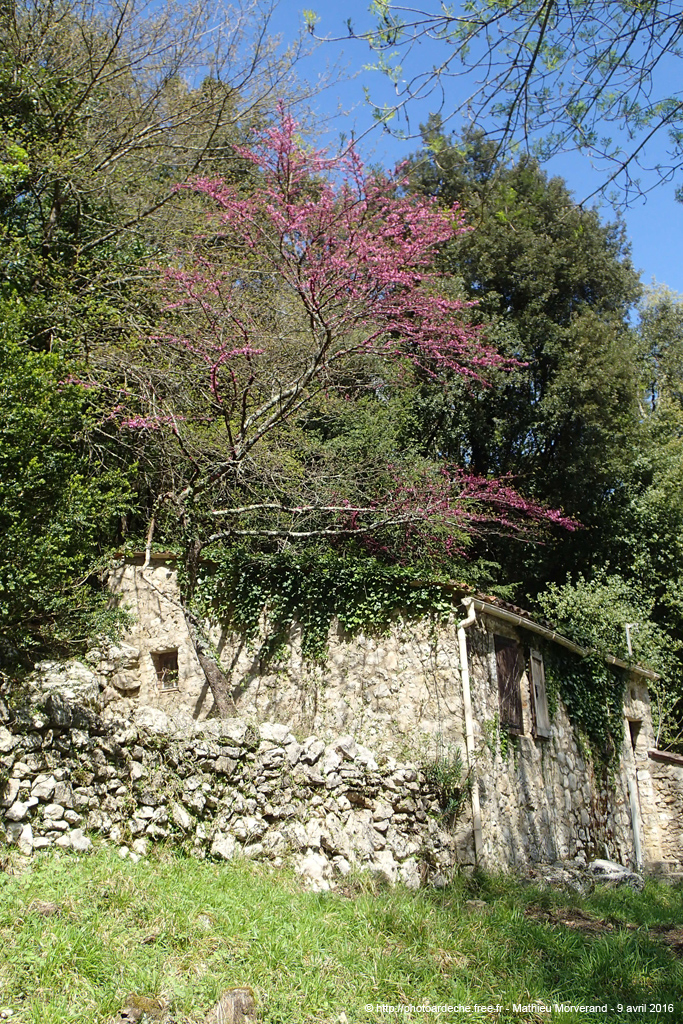 20160409_141