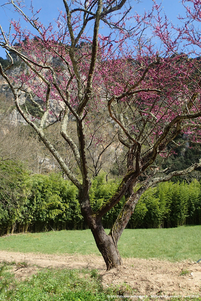 20160409_150