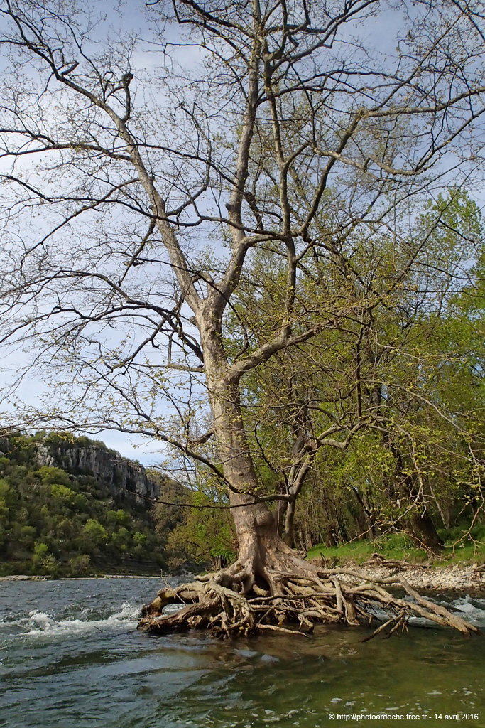 20160414_096