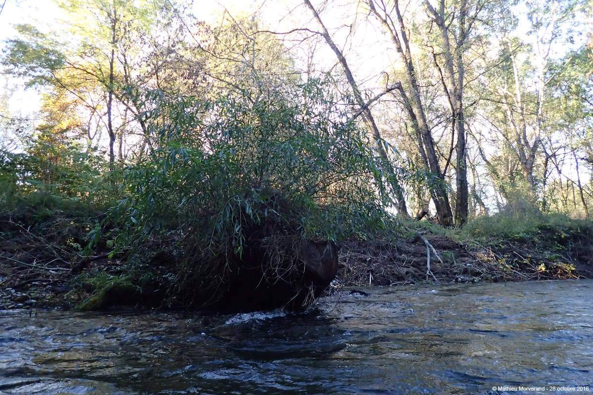 20161028_244