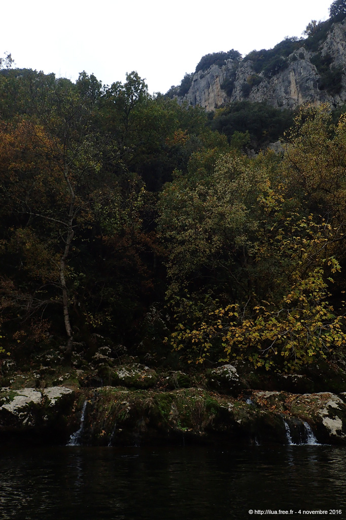 20161104_046