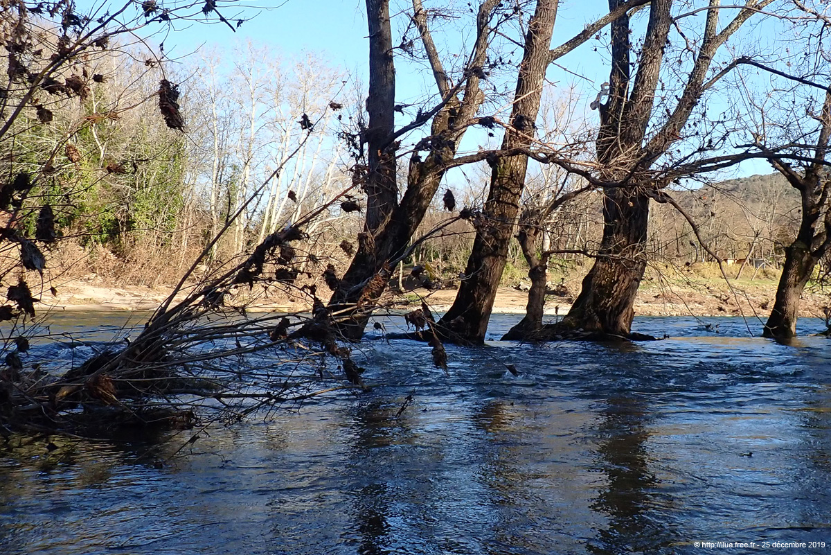 20191225_009