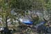 20041101_hautebeaume_00_mathieu_1